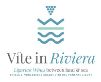winetourism
